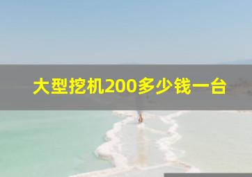 大型挖机200多少钱一台