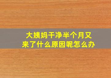 大姨妈干净半个月又来了什么原因呢怎么办