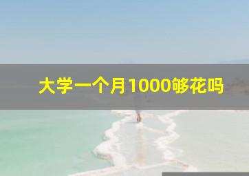 大学一个月1000够花吗