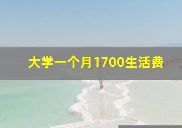 大学一个月1700生活费