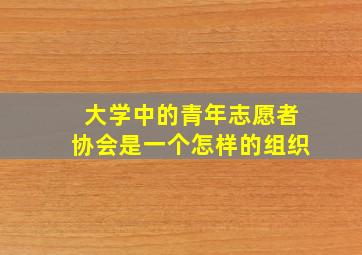 大学中的青年志愿者协会是一个怎样的组织