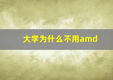 大学为什么不用amd