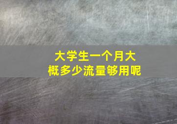 大学生一个月大概多少流量够用呢