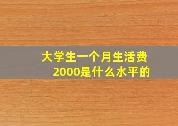 大学生一个月生活费2000是什么水平的