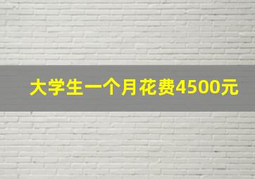 大学生一个月花费4500元