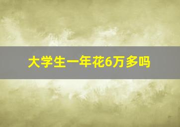 大学生一年花6万多吗