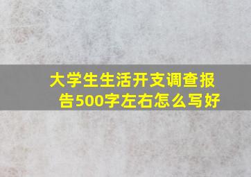 大学生生活开支调查报告500字左右怎么写好