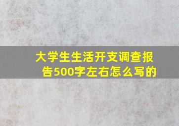 大学生生活开支调查报告500字左右怎么写的