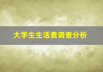 大学生生活费调查分析