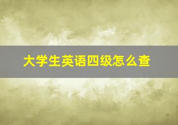 大学生英语四级怎么查