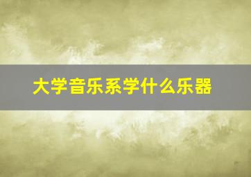 大学音乐系学什么乐器