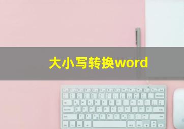 大小写转换word