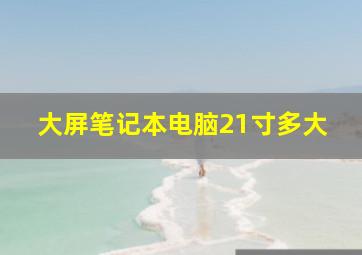 大屏笔记本电脑21寸多大