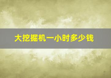 大挖掘机一小时多少钱