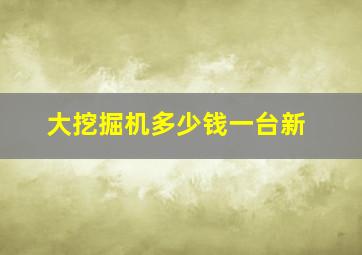 大挖掘机多少钱一台新