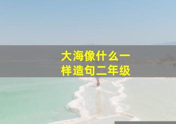 大海像什么一样造句二年级