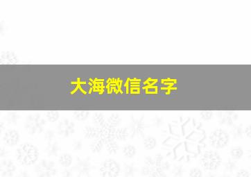 大海微信名字