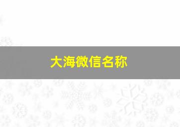 大海微信名称