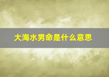 大海水男命是什么意思