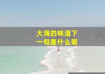 大海的味道下一句是什么呢