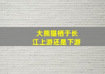 大熊猫栖于长江上游还是下游