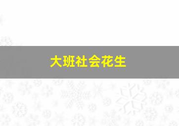 大班社会花生