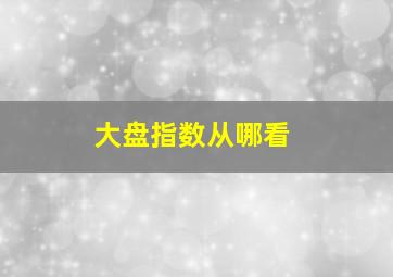 大盘指数从哪看