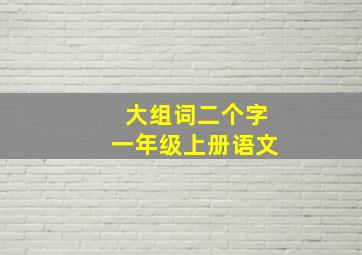 大组词二个字一年级上册语文