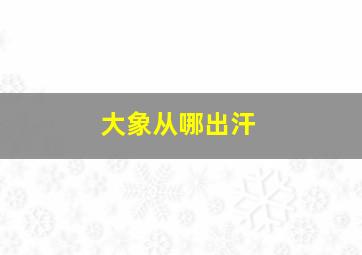 大象从哪出汗