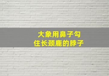 大象用鼻子勾住长颈鹿的脖子