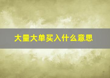 大量大单买入什么意思