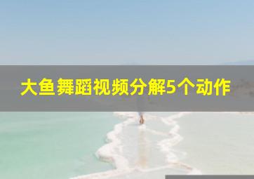 大鱼舞蹈视频分解5个动作