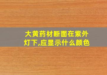 大黄药材断面在紫外灯下,应显示什么颜色