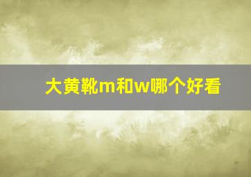 大黄靴m和w哪个好看