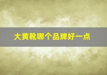 大黄靴哪个品牌好一点