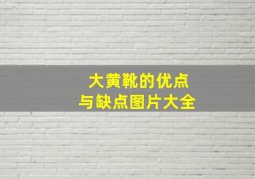 大黄靴的优点与缺点图片大全