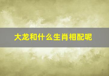 大龙和什么生肖相配呢