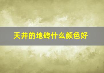 天井的地砖什么颜色好