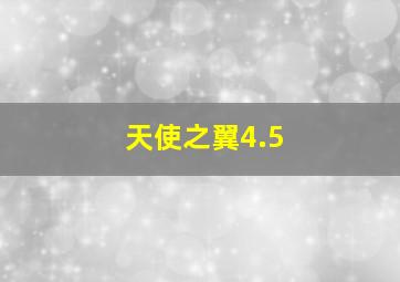 天使之翼4.5