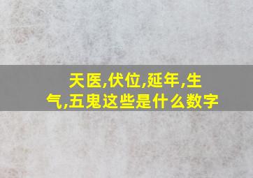 天医,伏位,延年,生气,五鬼这些是什么数字