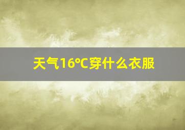 天气16℃穿什么衣服