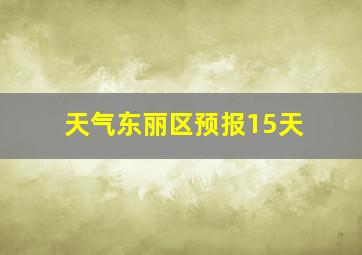 天气东丽区预报15天