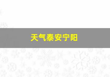 天气泰安宁阳