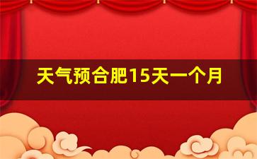 天气预合肥15天一个月