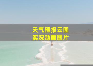 天气预报云图实况动画图片