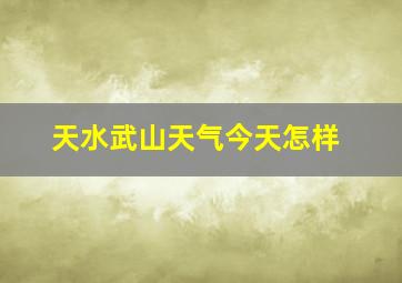 天水武山天气今天怎样