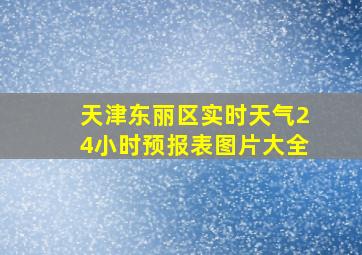 天津东丽区实时天气24小时预报表图片大全