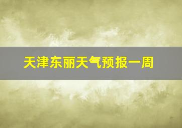 天津东丽天气预报一周