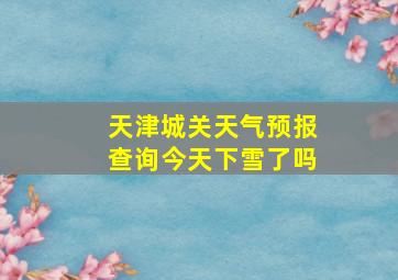 天津城关天气预报查询今天下雪了吗