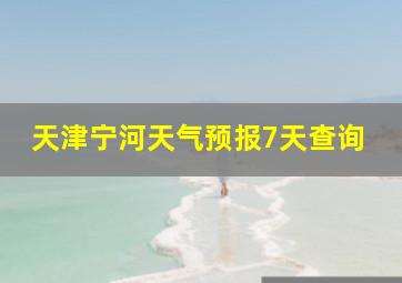 天津宁河天气预报7天查询